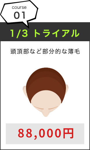 1/3 トライアル